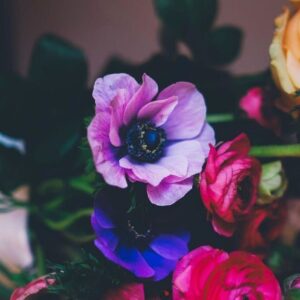 دانلود آهنگ کارم کیشایه لای روانشناس وفای بوم نبو – اینستایی دانلود آهنگ کارم کیشایه لای روانشناس وفای بوم نبو – اینستایی
